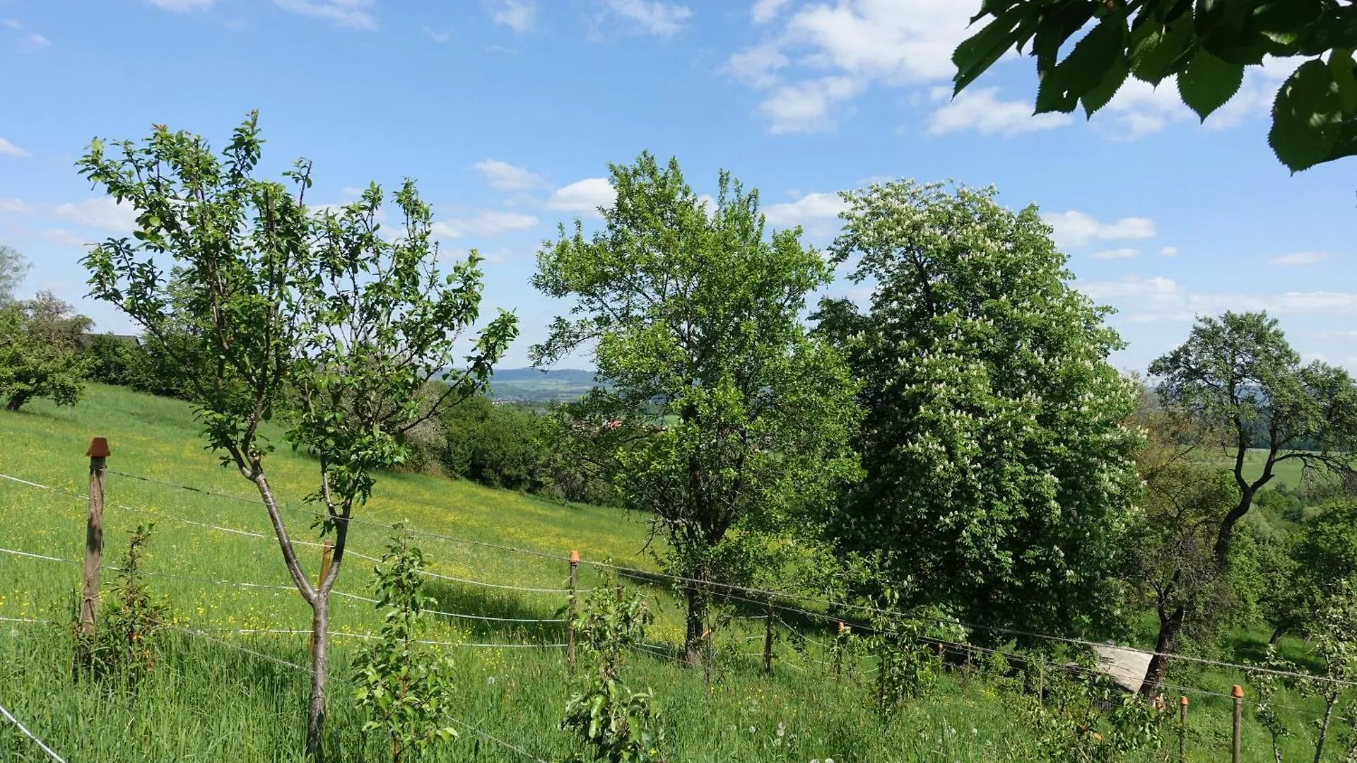 Panorama-Domizil Tauchershof Лауф-ан-дер-Пегниц 0*,  Германия